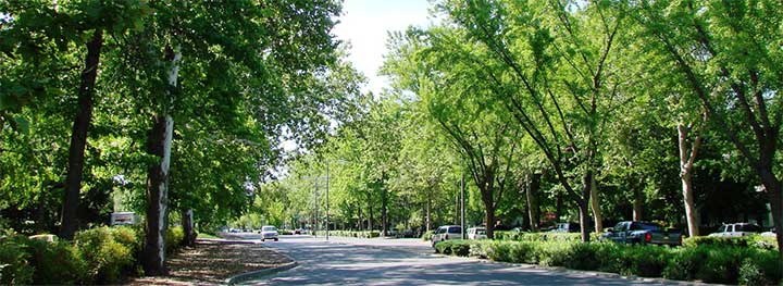 Esplanade Blvd. in Chico