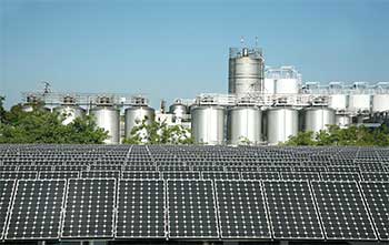 Solar farm
