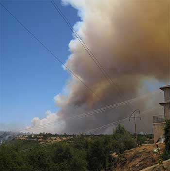 Wildfire